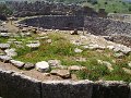 mycenae (267)